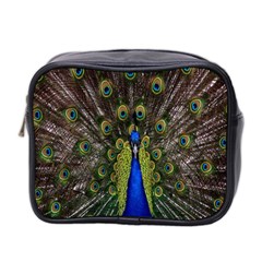 Bird Peacock Display Full Elegant Plumage Mini Toiletries Bag 2-side by Amaryn4rt