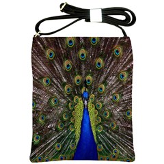 Bird Peacock Display Full Elegant Plumage Shoulder Sling Bags by Amaryn4rt