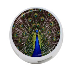 Bird Peacock Display Full Elegant Plumage 4-port Usb Hub (two Sides) 