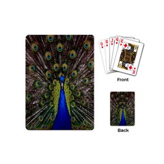 Bird Peacock Display Full Elegant Plumage Playing Cards (mini)  by Amaryn4rt