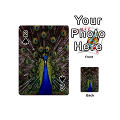 Bird Peacock Display Full Elegant Plumage Playing Cards 54 (mini)  by Amaryn4rt