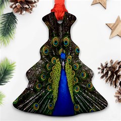 Bird Peacock Display Full Elegant Plumage Ornament (christmas Tree)  by Amaryn4rt