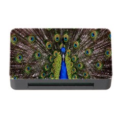 Bird Peacock Display Full Elegant Plumage Memory Card Reader With Cf by Amaryn4rt