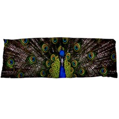 Bird Peacock Display Full Elegant Plumage Body Pillow Case Dakimakura (two Sides) by Amaryn4rt