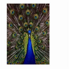 Bird Peacock Display Full Elegant Plumage Large Garden Flag (two Sides) by Amaryn4rt