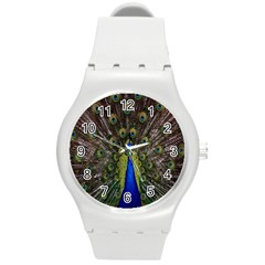 Bird Peacock Display Full Elegant Plumage Round Plastic Sport Watch (m) by Amaryn4rt