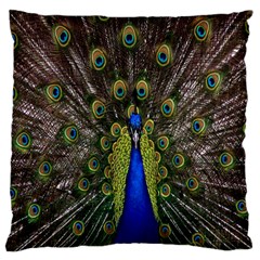 Bird Peacock Display Full Elegant Plumage Large Cushion Case (two Sides) by Amaryn4rt