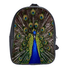 Bird Peacock Display Full Elegant Plumage School Bags (xl) 