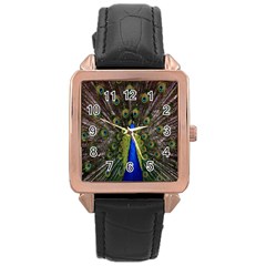 Bird Peacock Display Full Elegant Plumage Rose Gold Leather Watch 