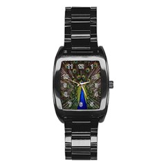 Bird Peacock Display Full Elegant Plumage Stainless Steel Barrel Watch by Amaryn4rt