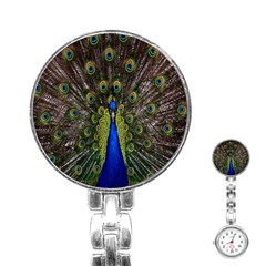 Bird Peacock Display Full Elegant Plumage Stainless Steel Nurses Watch