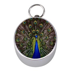 Bird Peacock Display Full Elegant Plumage Mini Silver Compasses by Amaryn4rt