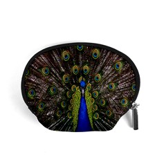 Bird Peacock Display Full Elegant Plumage Accessory Pouches (small) 