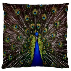 Bird Peacock Display Full Elegant Plumage Standard Flano Cushion Case (one Side) by Amaryn4rt