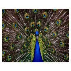 Bird Peacock Display Full Elegant Plumage Double Sided Flano Blanket (medium)  by Amaryn4rt