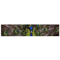 Bird Peacock Display Full Elegant Plumage Flano Scarf (small) by Amaryn4rt