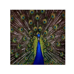 Bird Peacock Display Full Elegant Plumage Small Satin Scarf (square) by Amaryn4rt