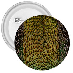 Colorful Iridescent Feather Bird Color Peacock 3  Buttons