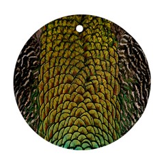 Colorful Iridescent Feather Bird Color Peacock Ornament (round) by Amaryn4rt