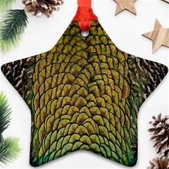 Colorful Iridescent Feather Bird Color Peacock Ornament (star) by Amaryn4rt