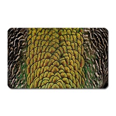 Colorful Iridescent Feather Bird Color Peacock Magnet (rectangular)