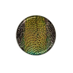 Colorful Iridescent Feather Bird Color Peacock Hat Clip Ball Marker (4 Pack) by Amaryn4rt