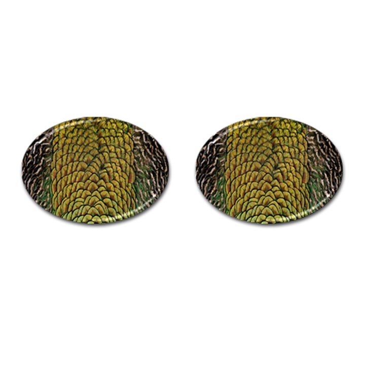 Colorful Iridescent Feather Bird Color Peacock Cufflinks (Oval)