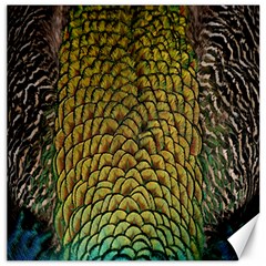 Colorful Iridescent Feather Bird Color Peacock Canvas 16  X 16  