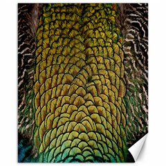 Colorful Iridescent Feather Bird Color Peacock Canvas 16  X 20  