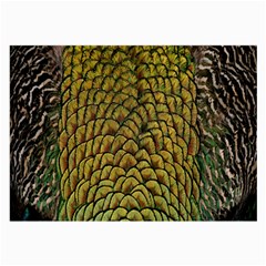 Colorful Iridescent Feather Bird Color Peacock Large Glasses Cloth (2-side) by Amaryn4rt