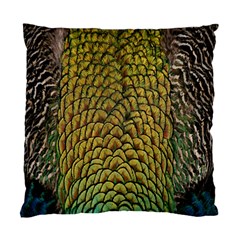 Colorful Iridescent Feather Bird Color Peacock Standard Cushion Case (two Sides) by Amaryn4rt