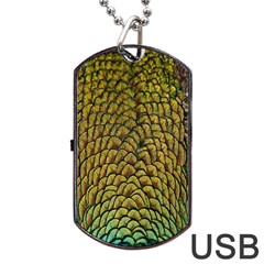 Colorful Iridescent Feather Bird Color Peacock Dog Tag Usb Flash (two Sides) by Amaryn4rt