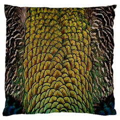 Colorful Iridescent Feather Bird Color Peacock Large Cushion Case (two Sides) by Amaryn4rt