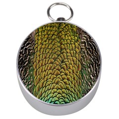 Colorful Iridescent Feather Bird Color Peacock Silver Compasses by Amaryn4rt