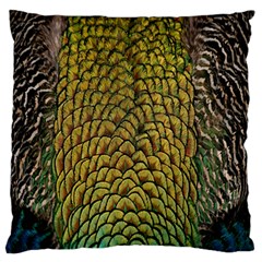 Colorful Iridescent Feather Bird Color Peacock Large Flano Cushion Case (two Sides) by Amaryn4rt