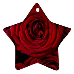 Roses Flowers Red Forest Bloom Ornament (star)