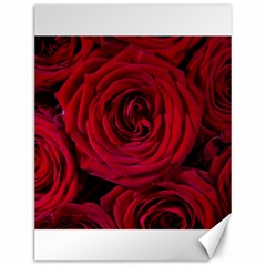 Roses Flowers Red Forest Bloom Canvas 12  X 16   by Amaryn4rt