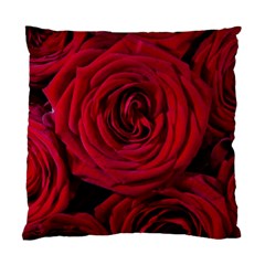 Roses Flowers Red Forest Bloom Standard Cushion Case (one Side) by Amaryn4rt