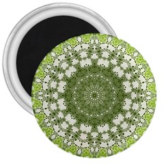 Mandala Center Strength Motivation 3  Magnets by Amaryn4rt