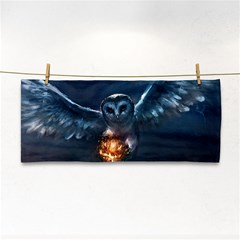 Owl And Fire Ball Cosmetic Storage Cases by Amaryn4rt