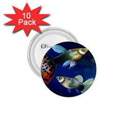 Marine Fishes 1 75  Buttons (10 Pack)