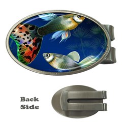 Marine Fishes Money Clips (oval)  by Amaryn4rt