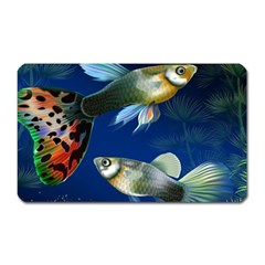 Marine Fishes Magnet (rectangular)