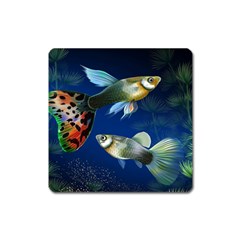 Marine Fishes Square Magnet by Amaryn4rt