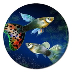 Marine Fishes Magnet 5  (round)