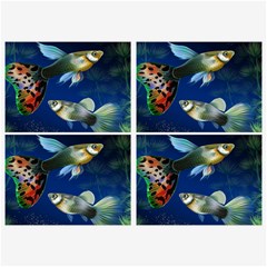 Marine Fishes Belt Buckles