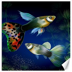 Marine Fishes Canvas 20  X 20  