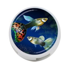 Marine Fishes 4-port Usb Hub (two Sides) 