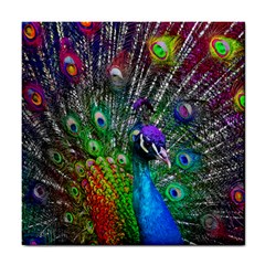 3d Peacock Pattern Tile Coasters