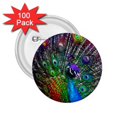 3d Peacock Pattern 2 25  Buttons (100 Pack) 